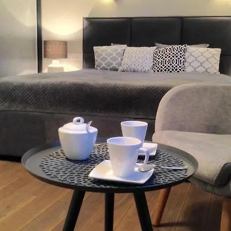 Muzyczna Oaza Przy Rynku Apartment