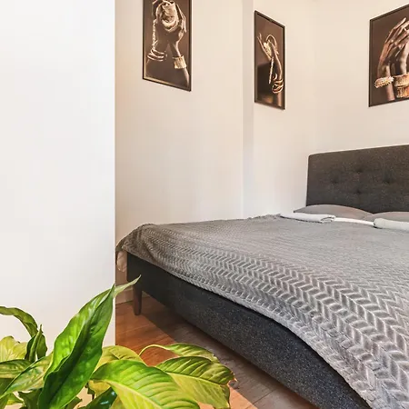 Muzyczna Oaza Przy Rynku *