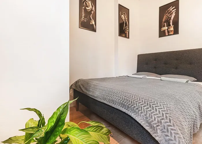 Muzyczna Oaza Przy Rynku *